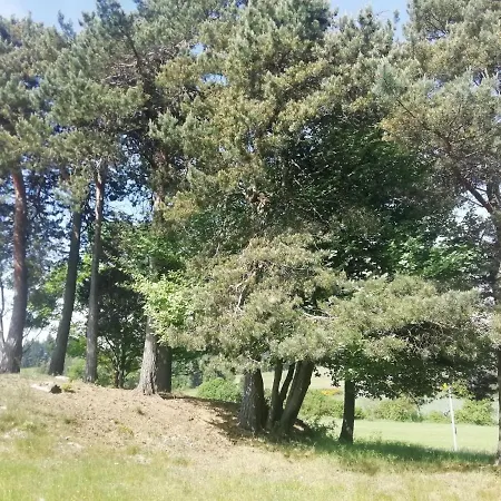 Chez Sophie Et Gilles Bed & Breakfast