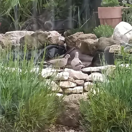 Chez Sophie Et Gilles 3* Monistrol-sur-Loire